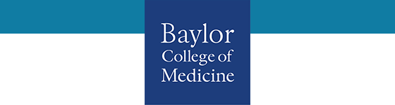 BCM Logo Email Header